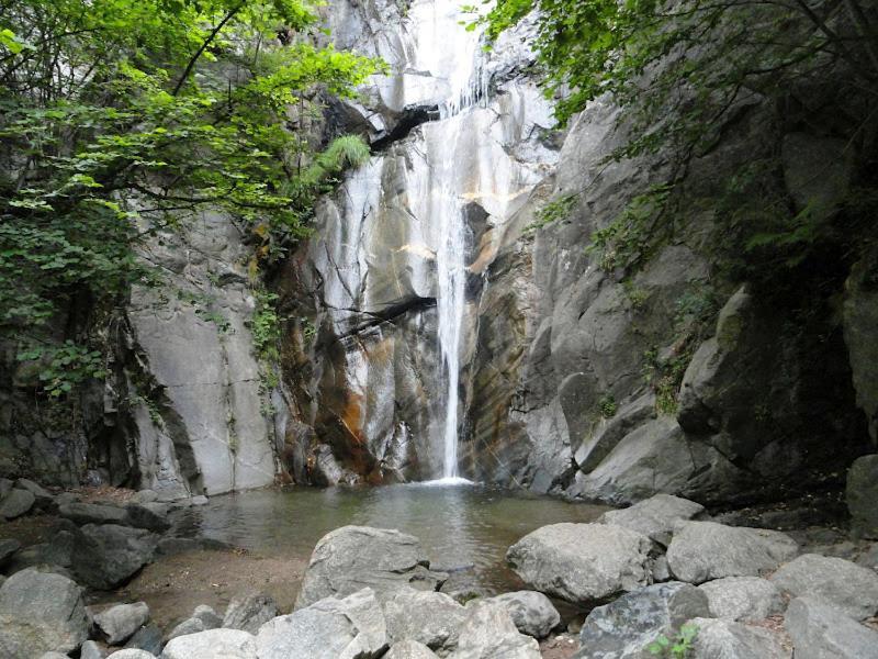 Allotjament Taga Ribes De Freser Exterior photo