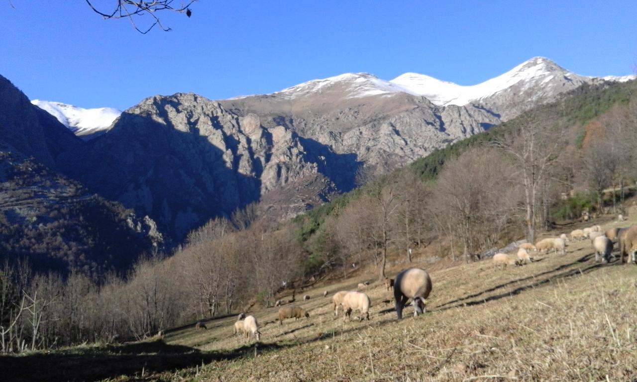 Allotjament Taga Ribes De Freser Exterior photo